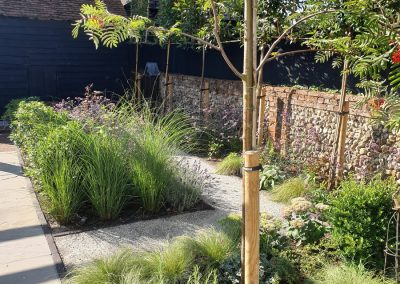 courtyard planting featuring grasses, lavender and herbs